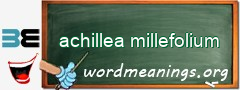 WordMeaning blackboard for achillea millefolium